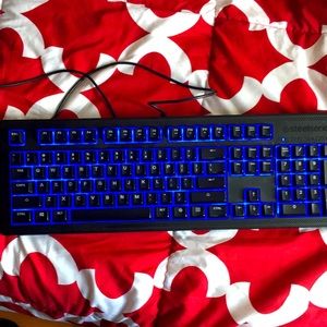 Apex 100 keyboard by Steelseries blue light